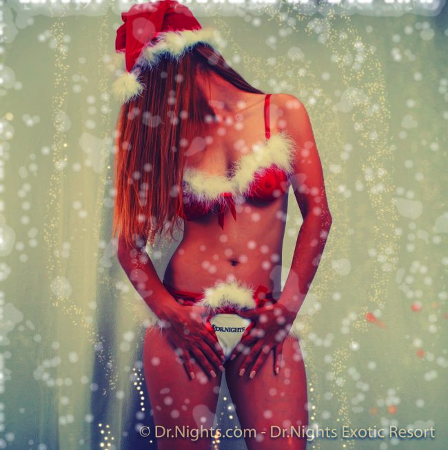 Happy Holidays 2018